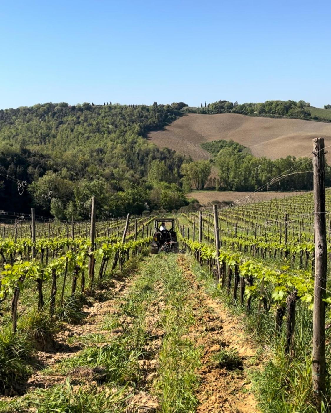 تريكواندا Podere Sole المظهر الخارجي الصورة