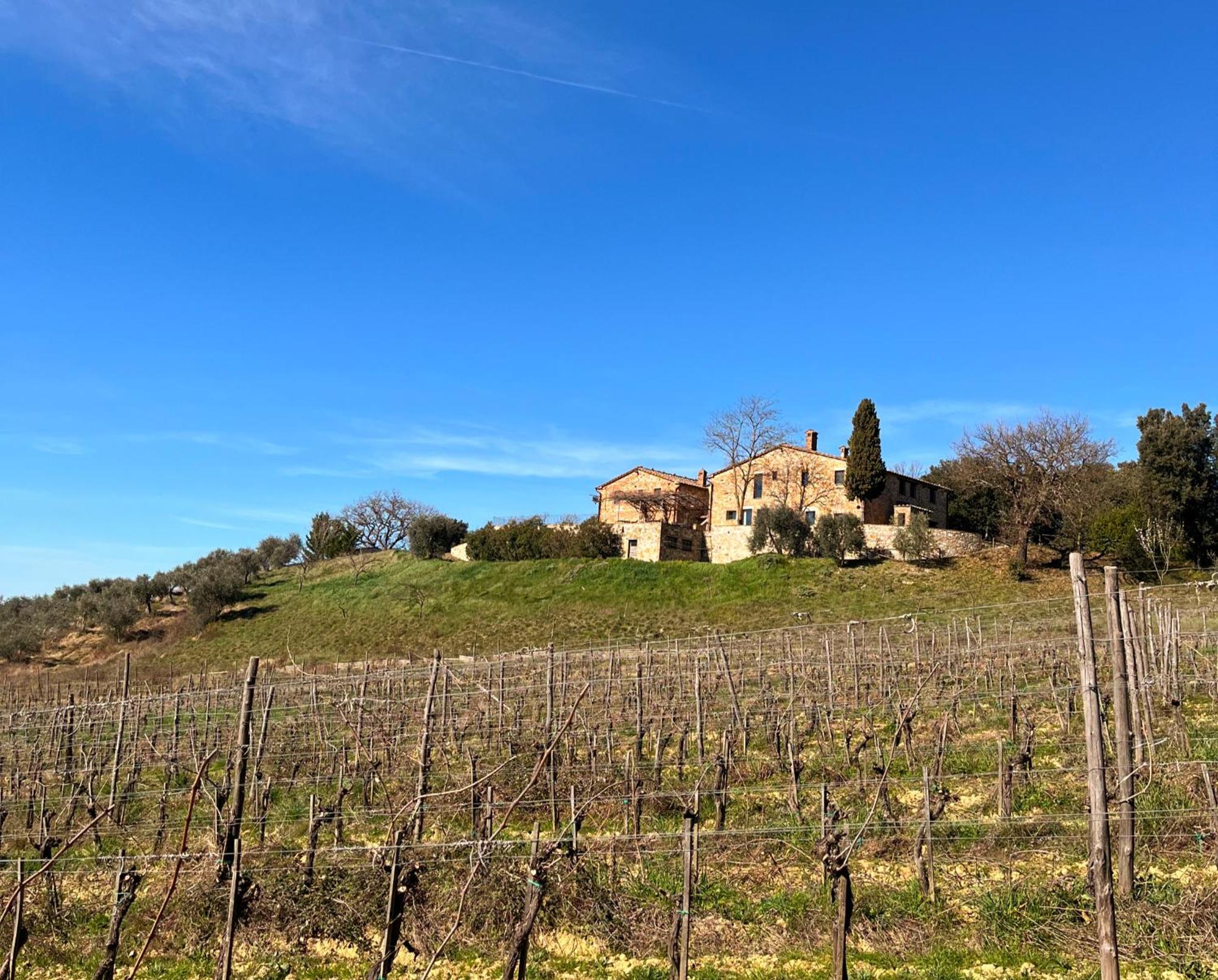 تريكواندا Podere Sole المظهر الخارجي الصورة